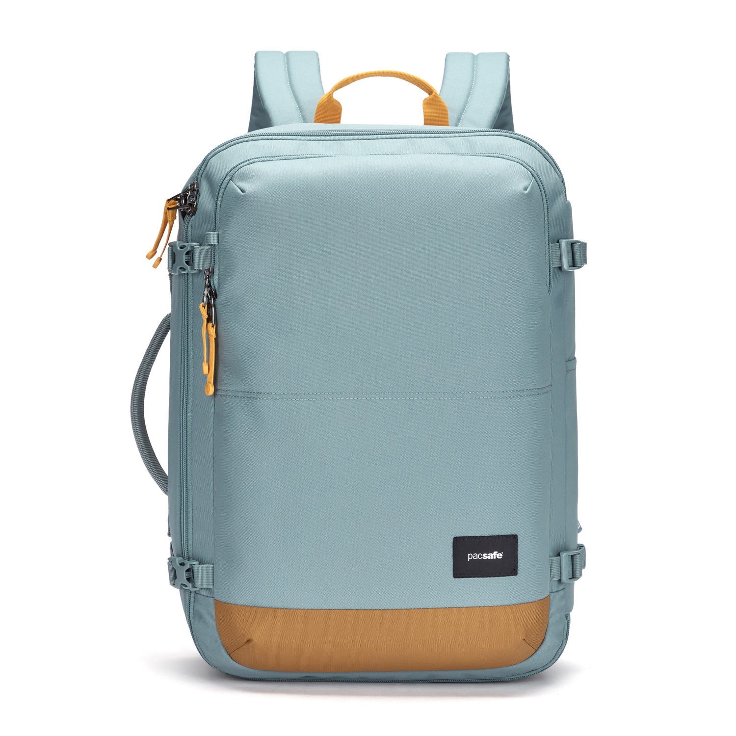 Pacsafe travel backpack online